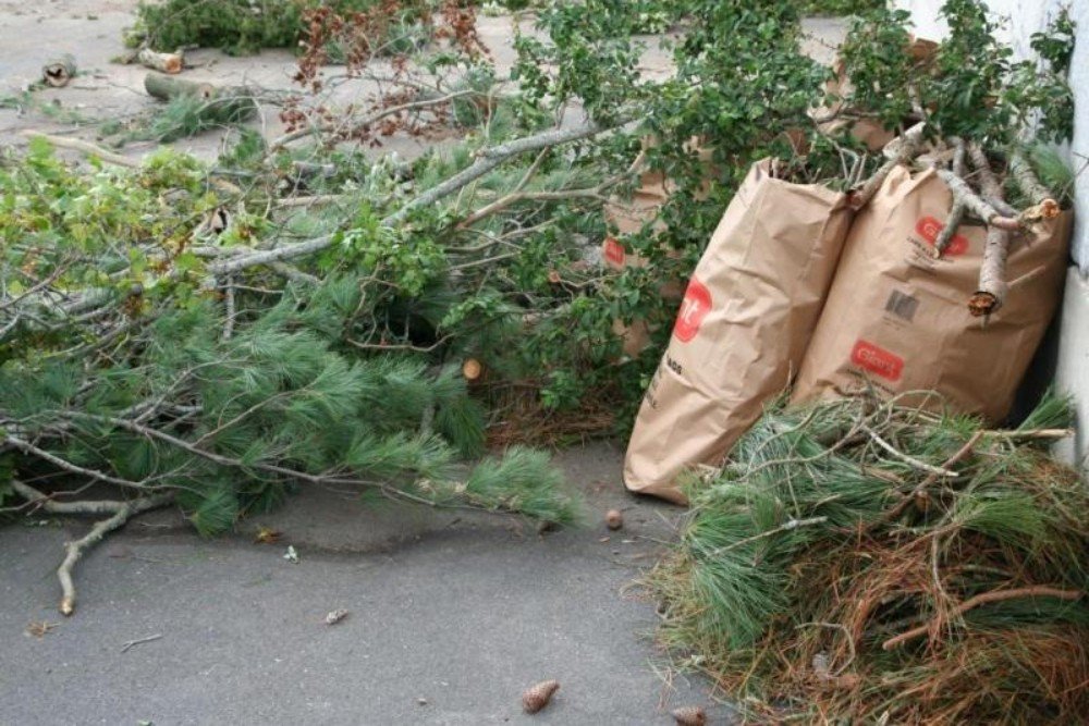 Yard Waste Removal