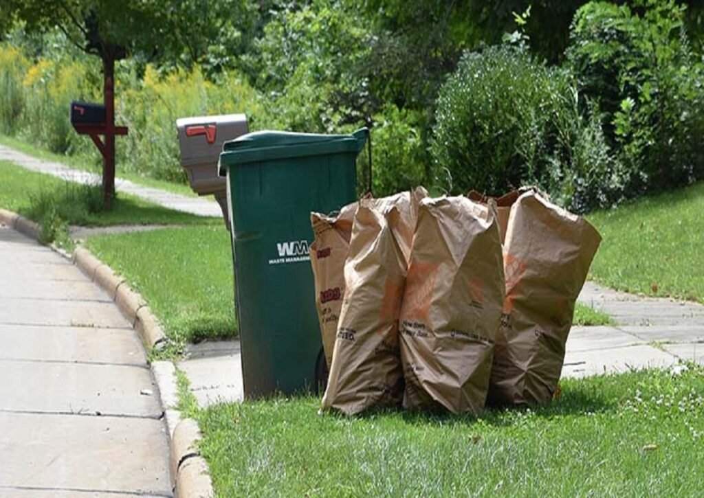 Yard Waste Removal