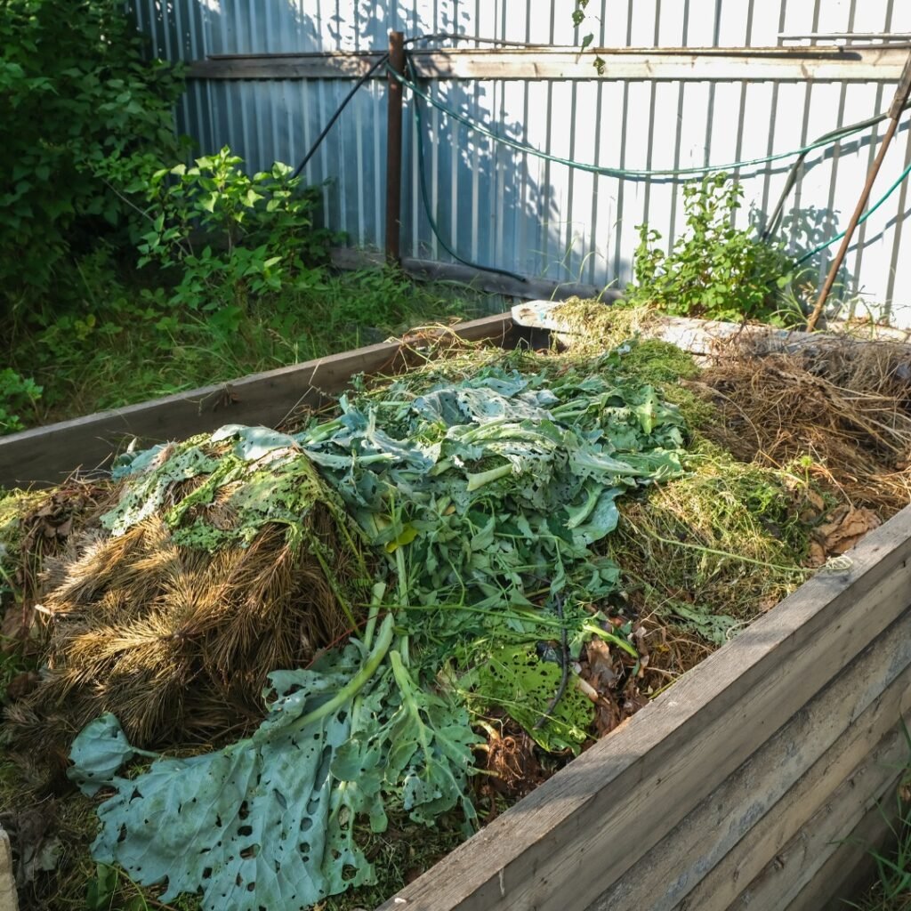 Yard Waste Removal