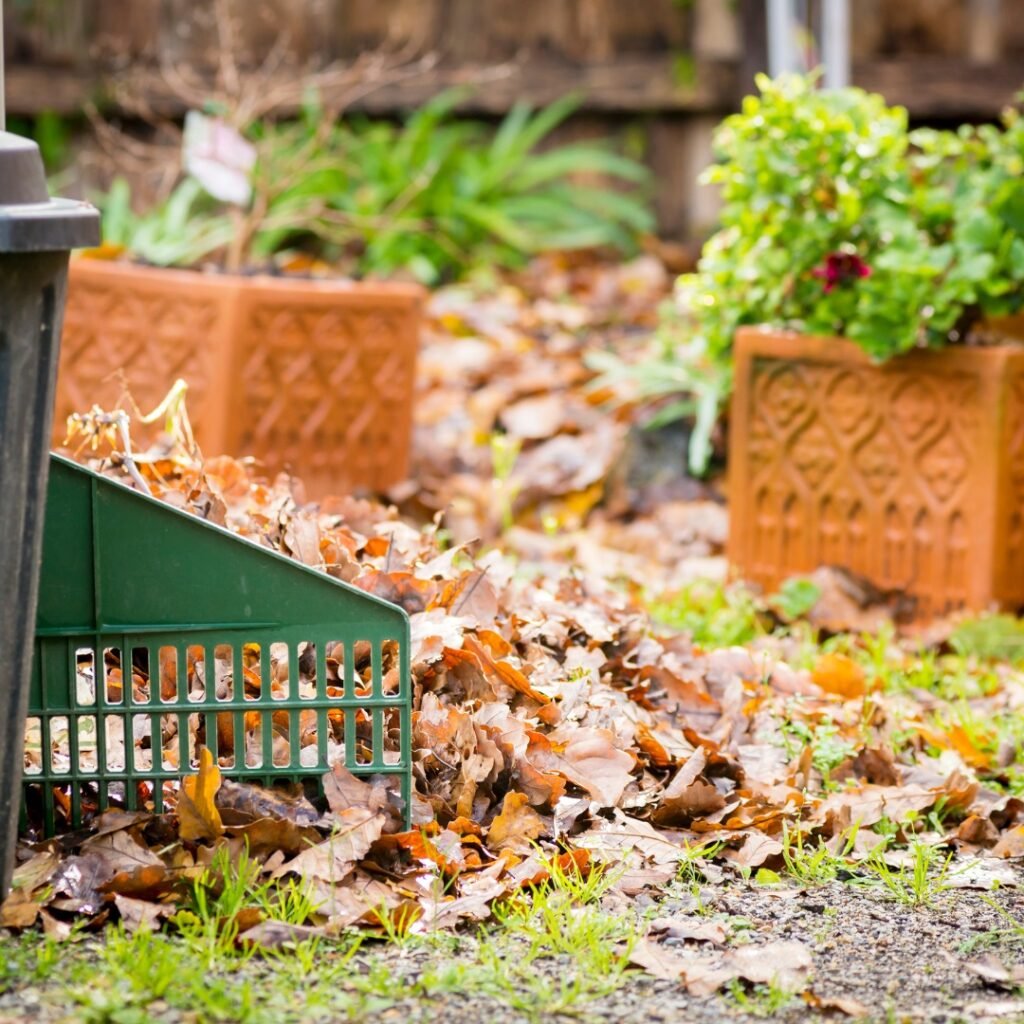 Yard Waste Removal Cleveland