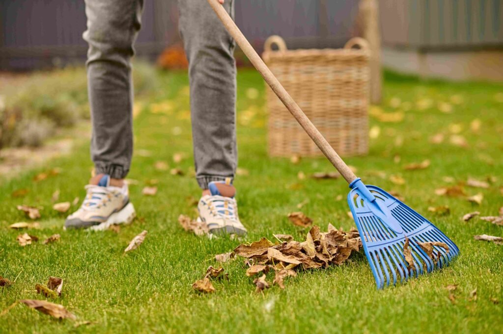 Yard Waste Removal Price