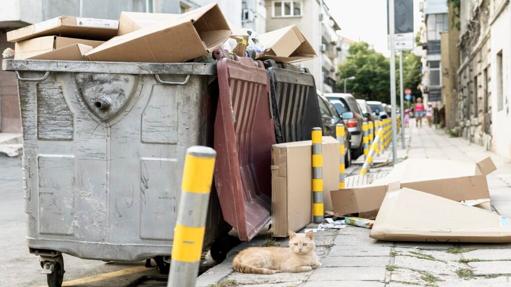 Junk Removal Service