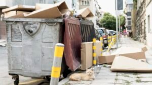 Junk Removal Service