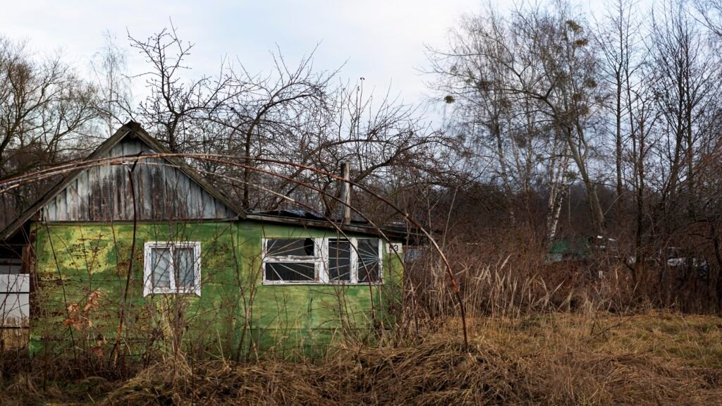 How to Remove a Shed
