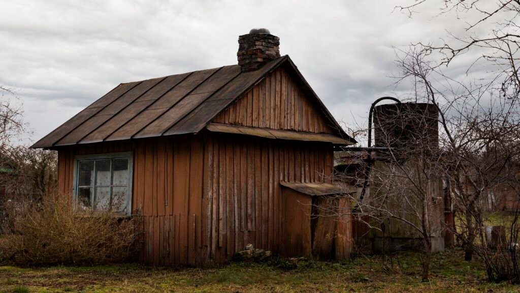 Complete Guide to Shed Removal