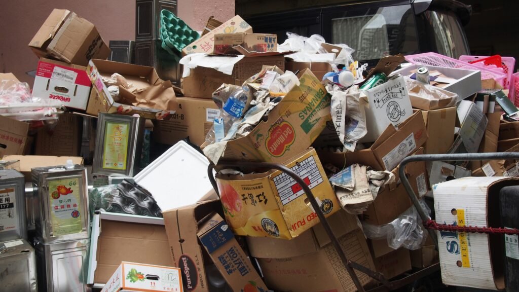 Hoarding Cleanup Cost