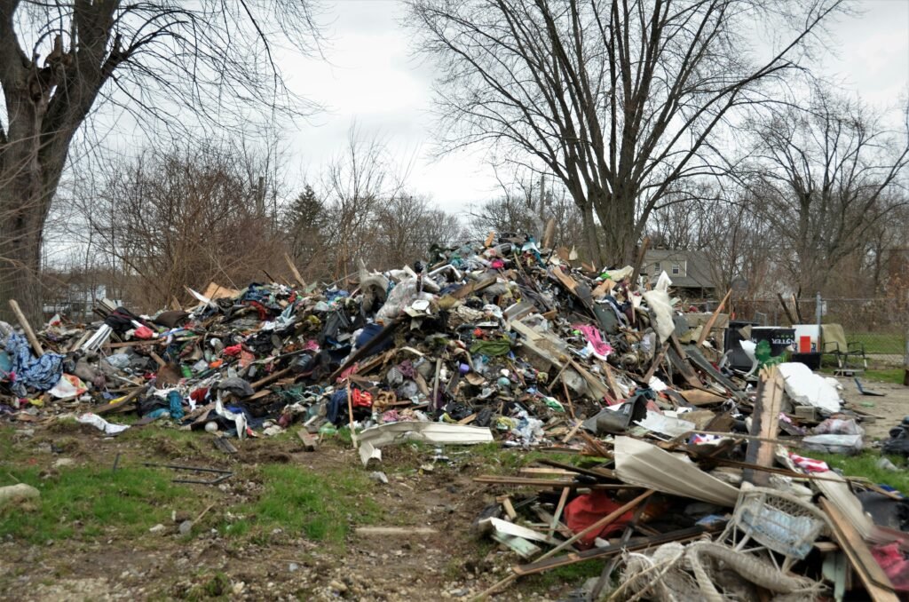professional hoarding cleanup